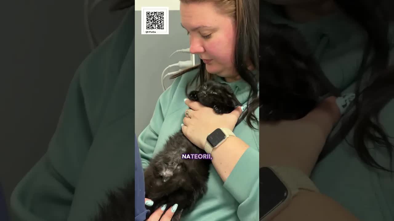 Kočička Čmouze potřebuje pomoc s léčbou