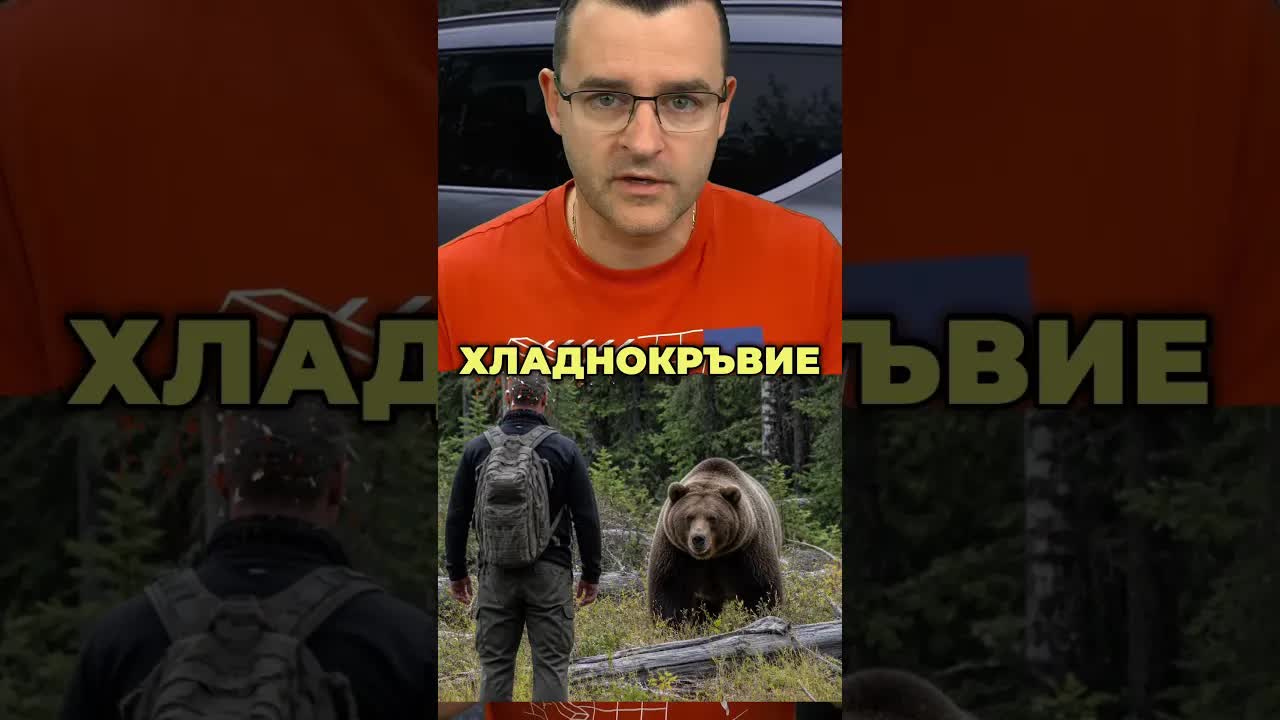 Неочаквана среща със слон и мечка