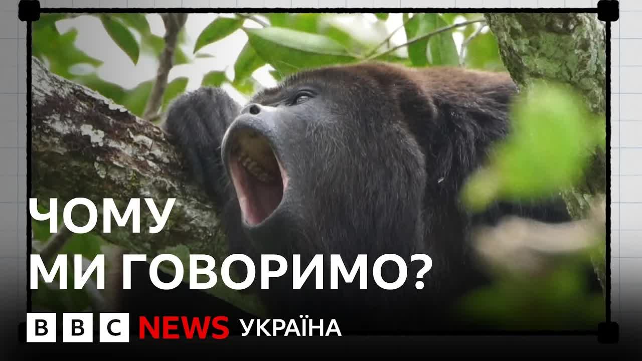 Походження людської мови: що каже наука