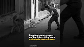 Propuesta de buró para maltratadores de animales