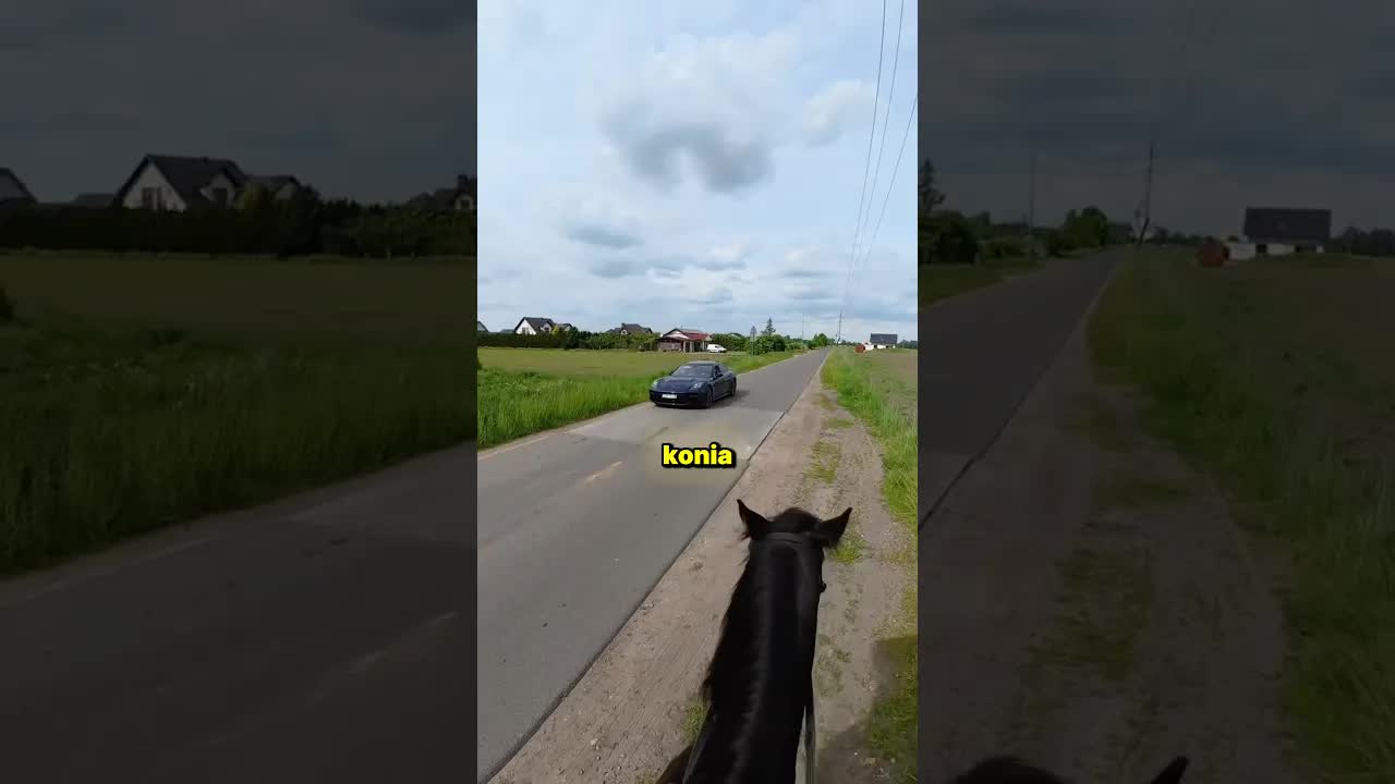 Porsche i koń – chwila szacunku na wsi