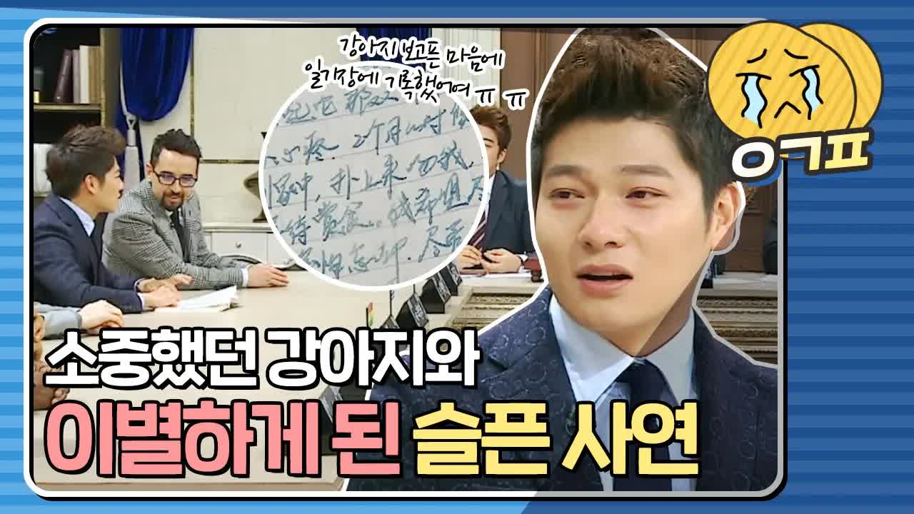 정책 때문에 헤어진 소중한 반려견 이야기