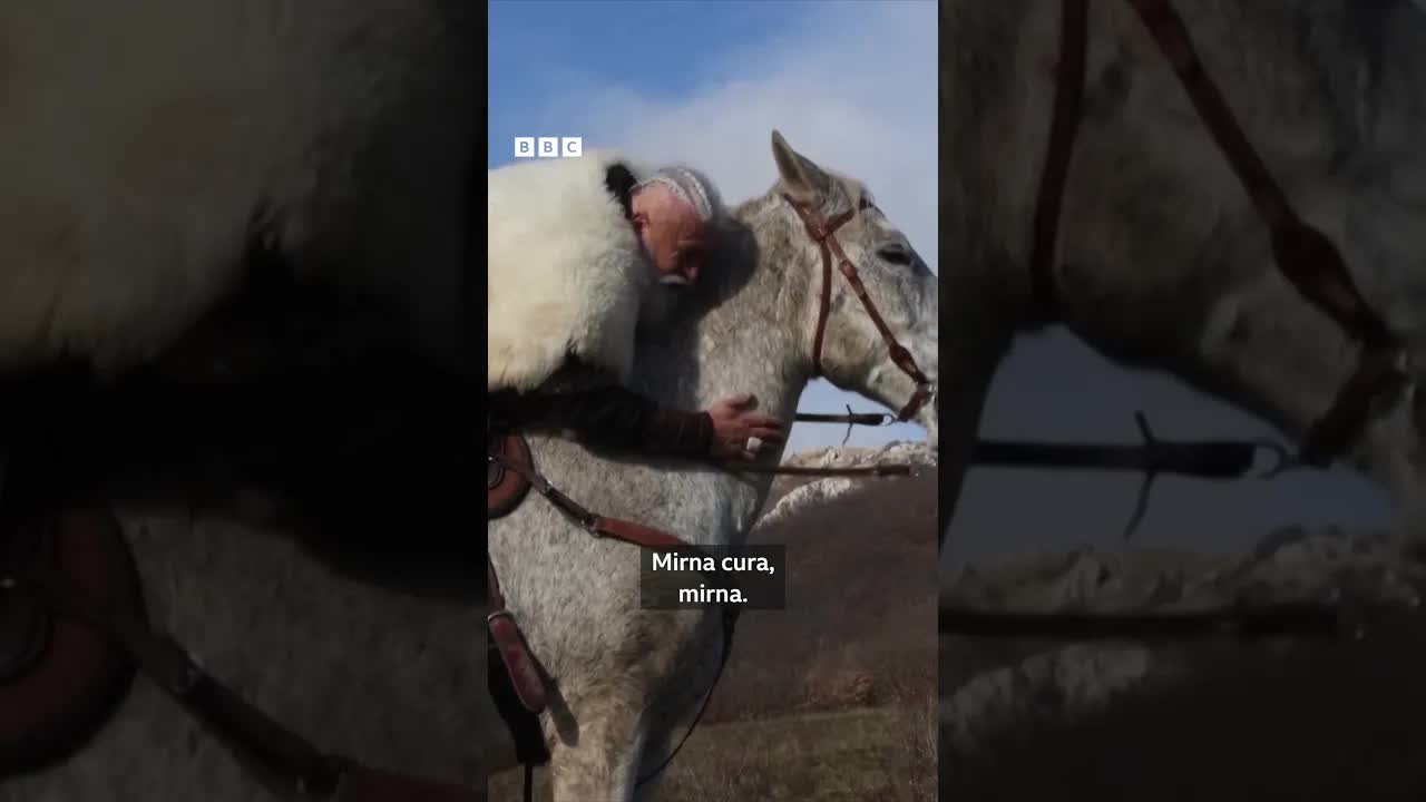 Život vikinga u Hercegovini: Sloboda i mir