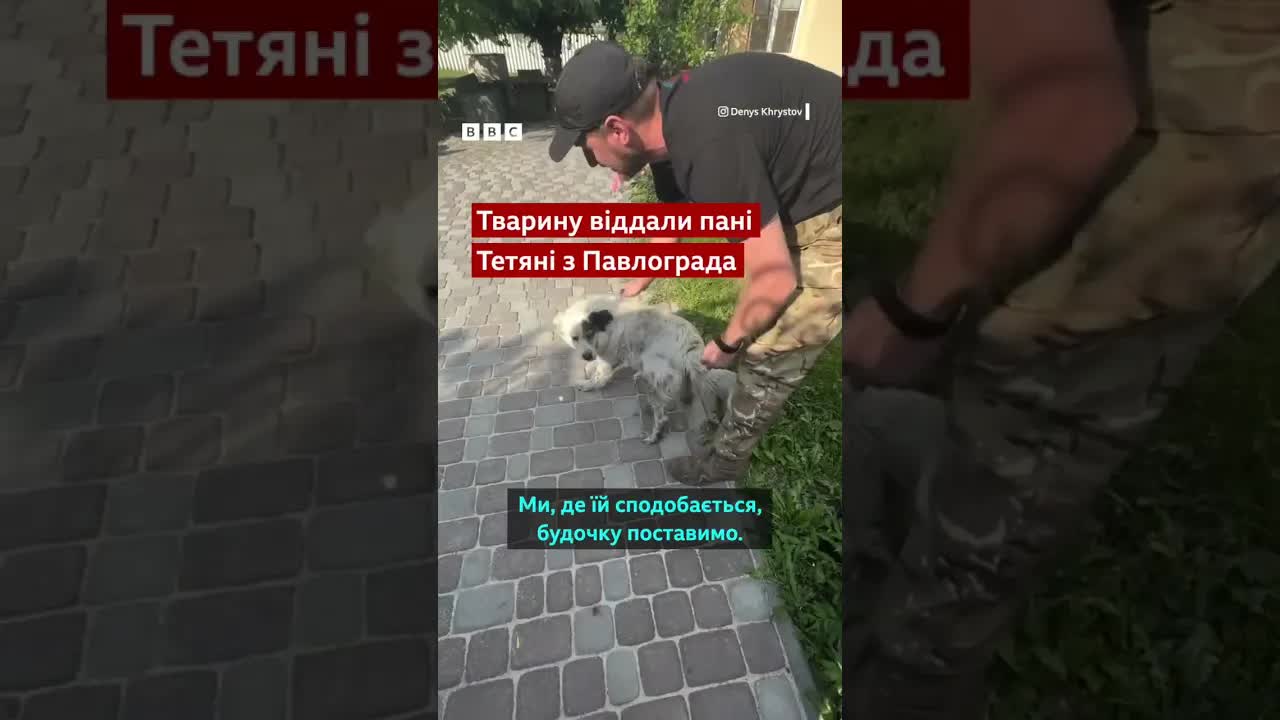 Собаку, яку кинули, знайшли нову родину через соцмережі