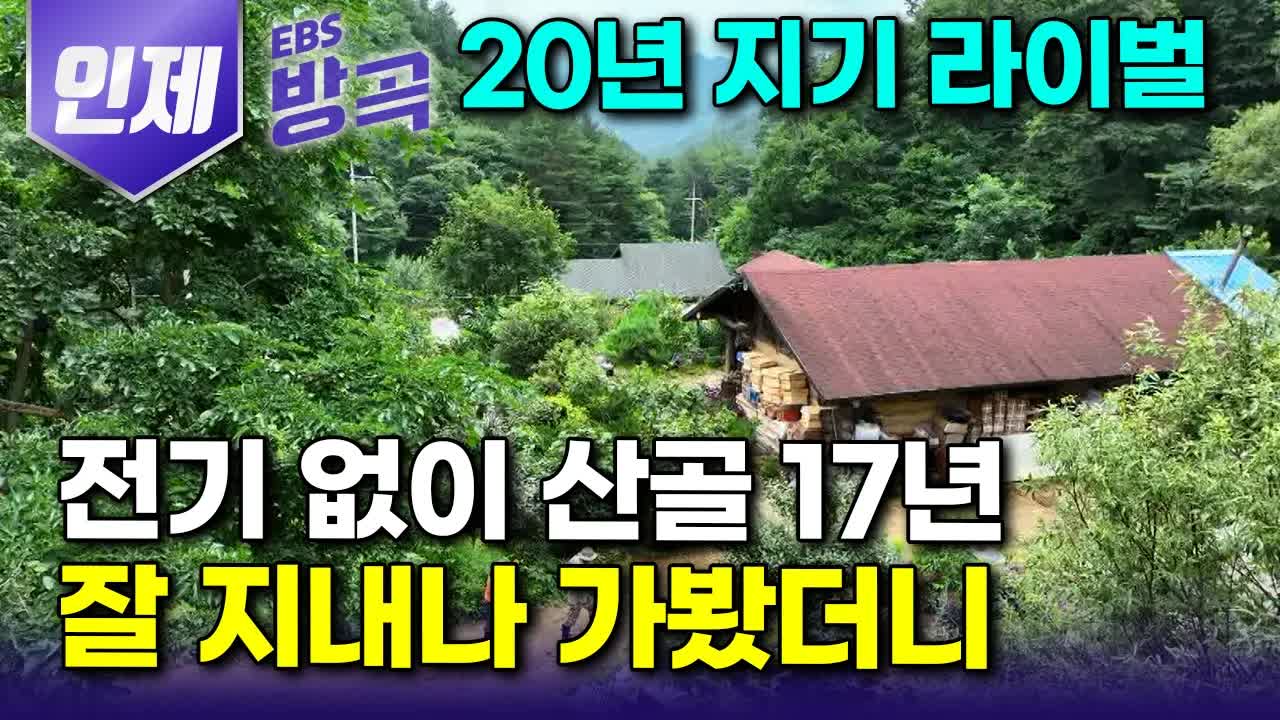 산골에서의 자연인 생활과 우정