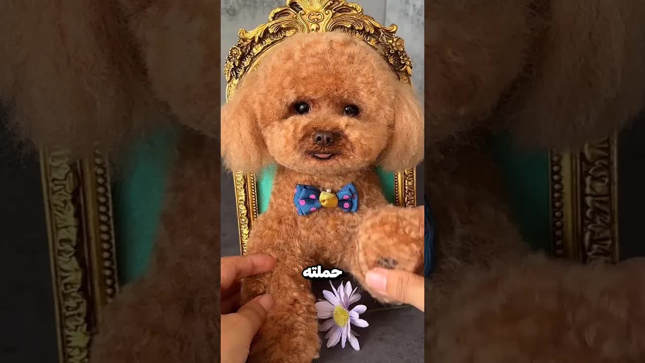 قصة فتاة أعادت تشكيل كلبها من شعره