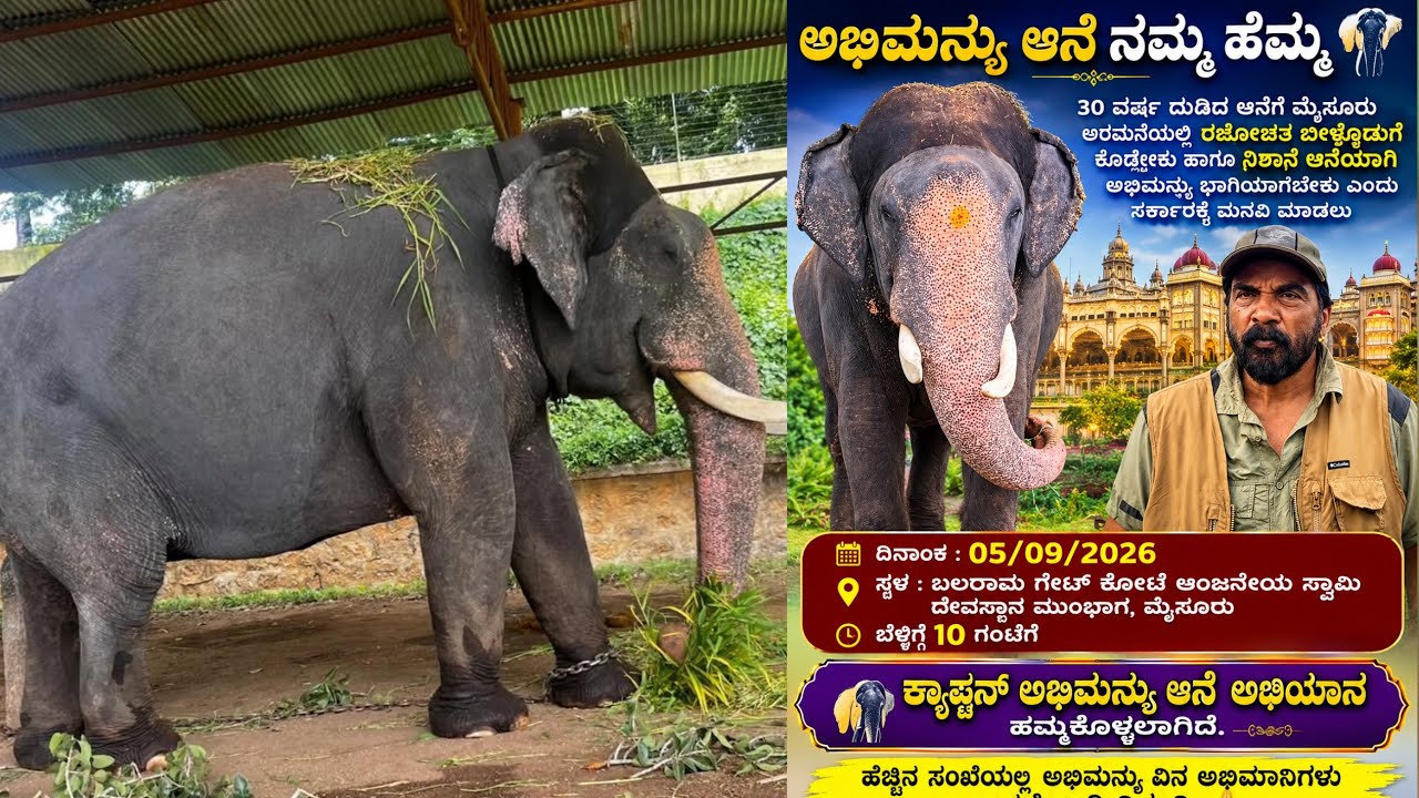 ಅಭಿಮನ್ಯು ಆನೆಗೆ ಸನ್ಮಾನ ಅಭಿಯಾನ