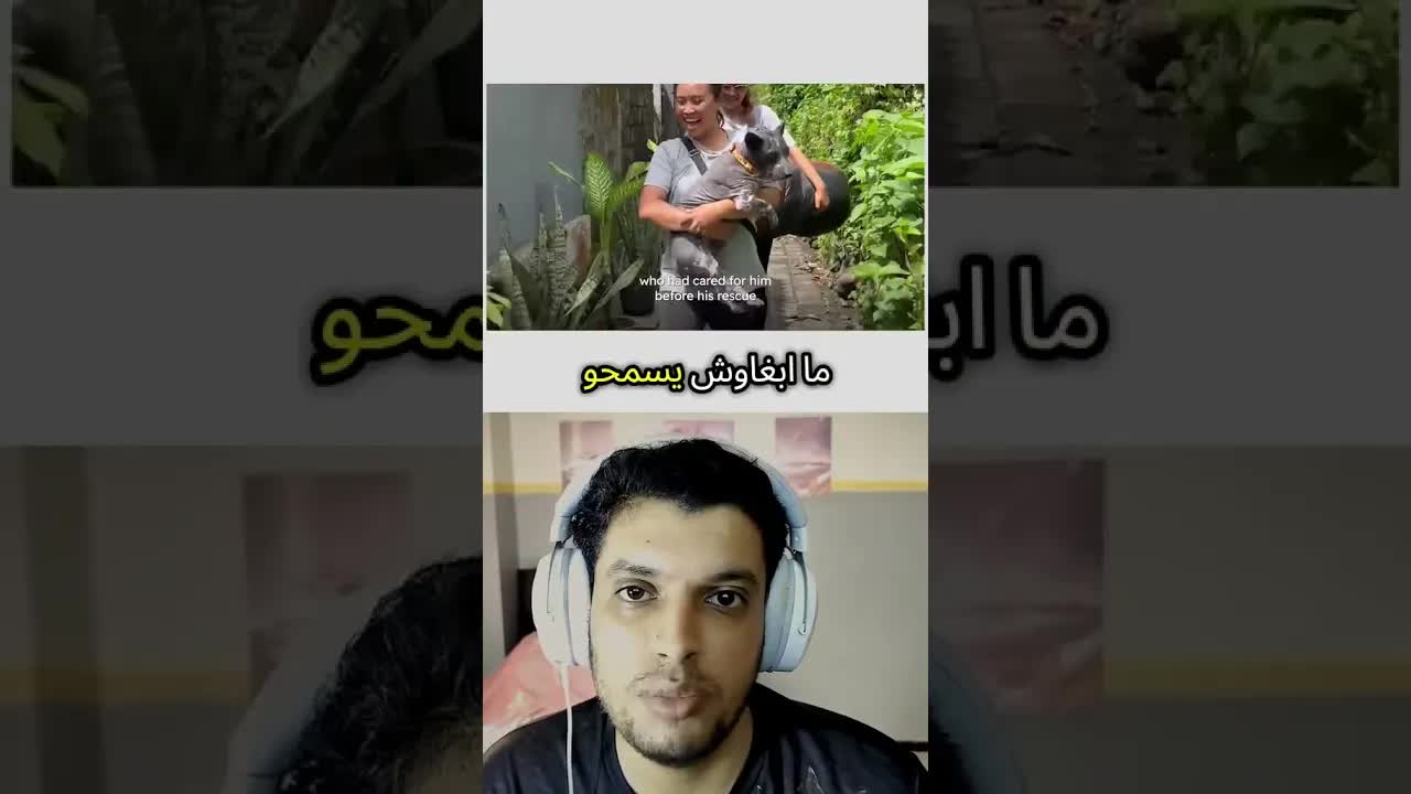 قصة إنقاذ كلب عاش في حالة صعبة