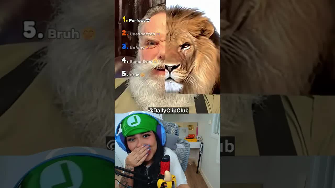 Reagindo ao filtro do gêmeo animal
