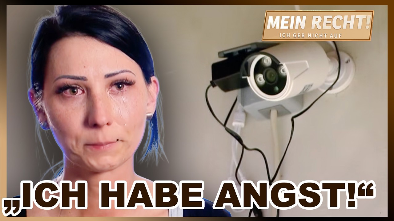 Nachbarschaftsstreit vor Gericht: Familie gewinnt Prozess