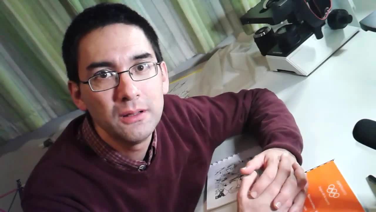 Sporta vortaro kaj babilado pri Esperanto