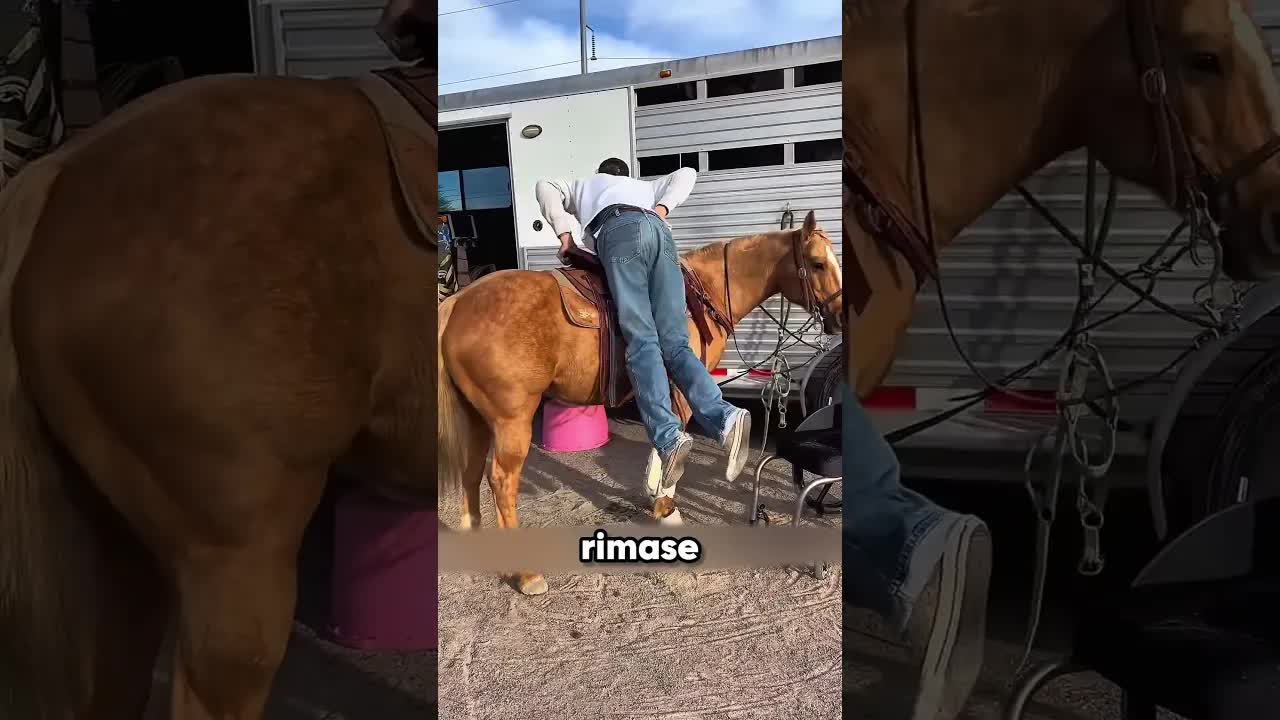 Uomo in sedia a rotelle sale a cavallo da solo