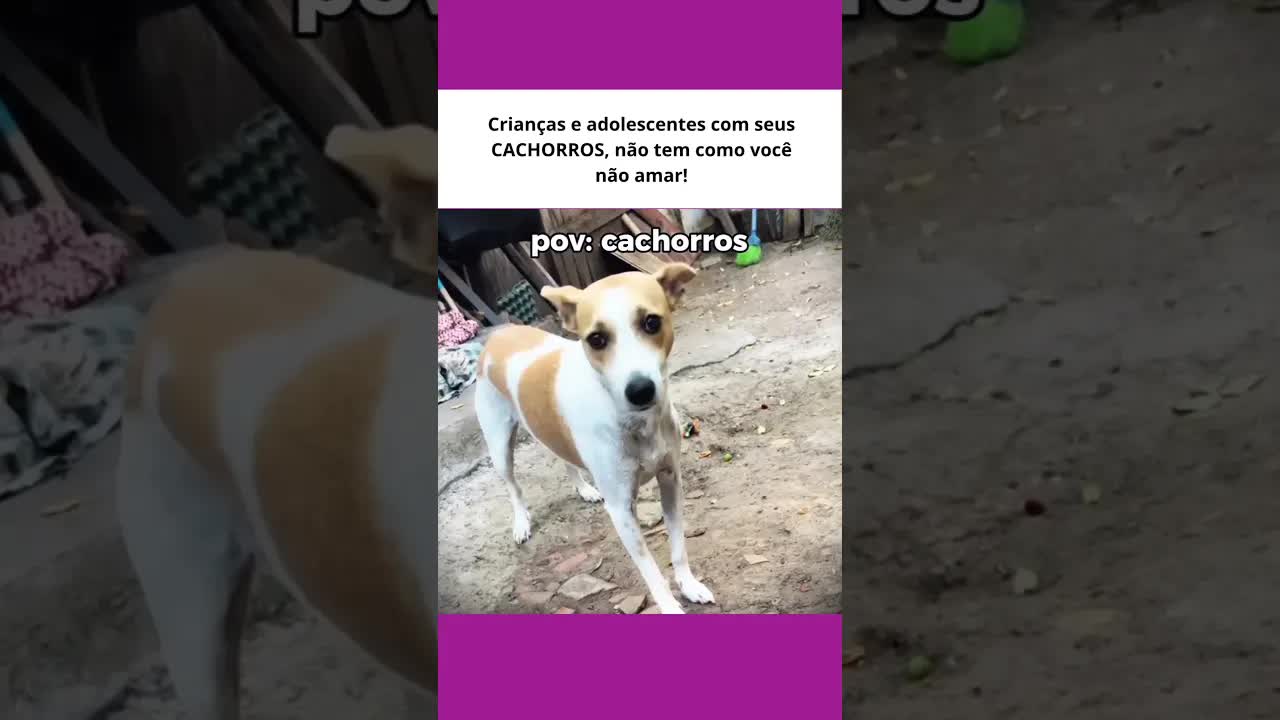 Crianças com seus cachorros fofos