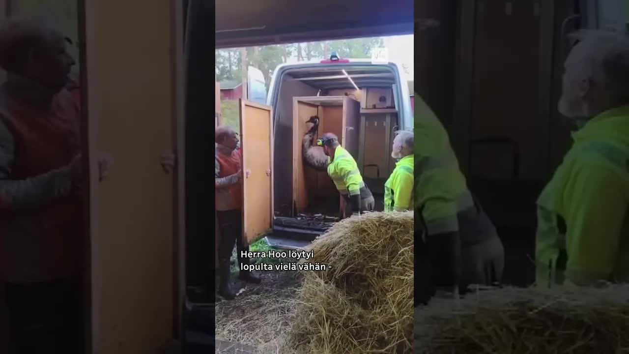 Emun karkumatka päättyi Mäntyharjulla