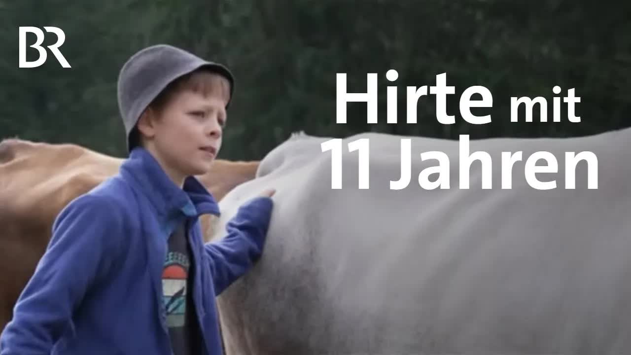 Ein 11-jähriger Kleinhirte auf der Alpe