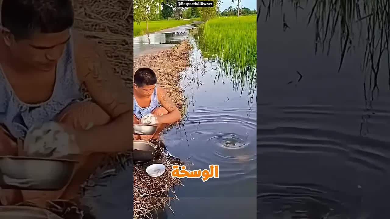 خطة المواعين العبقرية