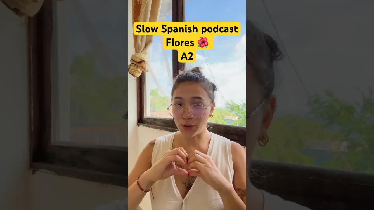 Mi amor por las flores: margaritas y girasoles