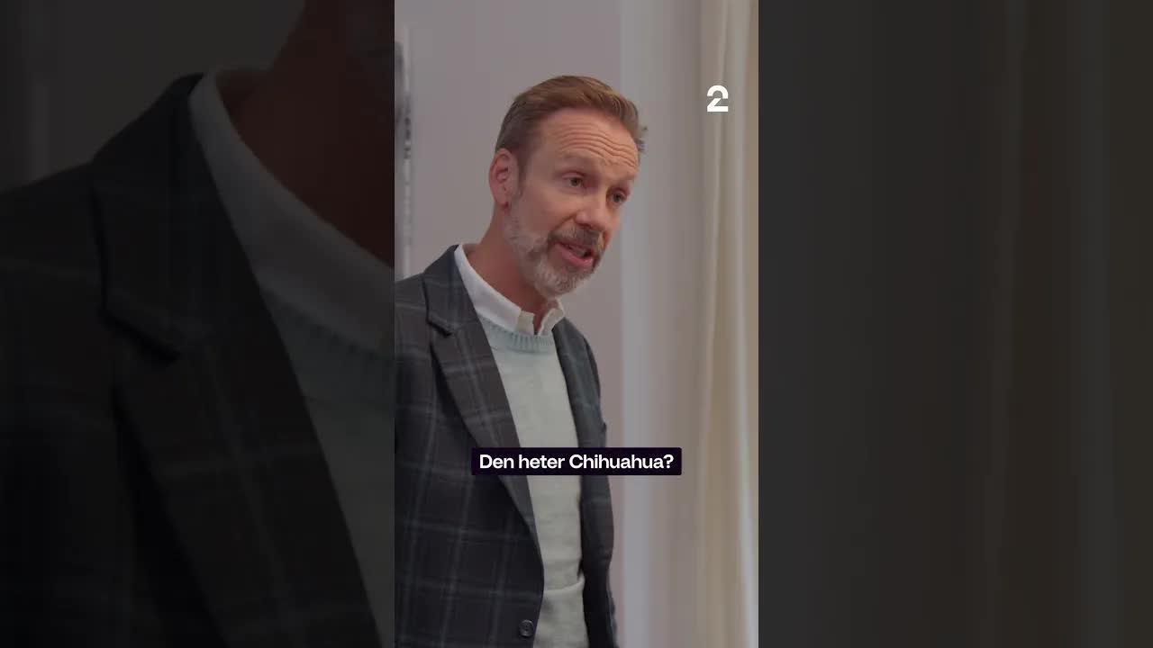 Møt Chihuahuaen som får monster i vannet