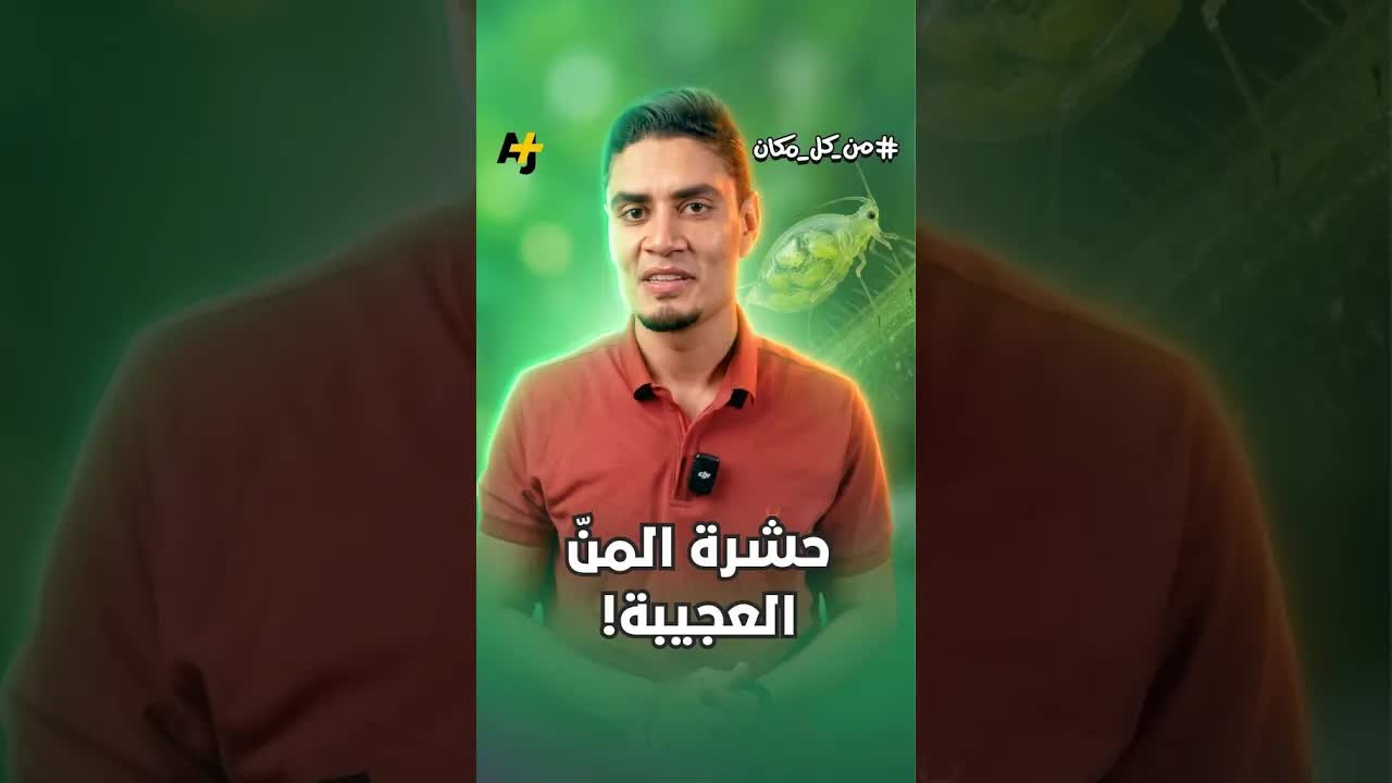 حشرة المن: تكاثر خارق وسر البقاء في الشتاء