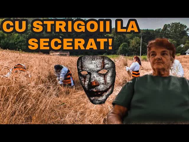 Povestea mătușii și a câinelui la secerat