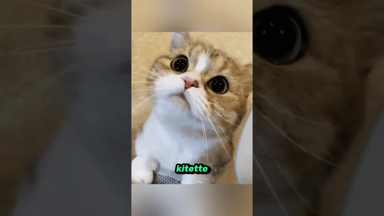 Ha ez a férfi fut utánad, fuss el