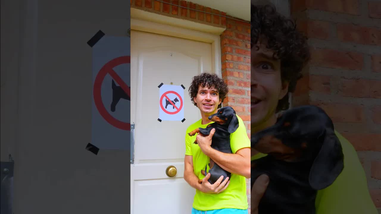 Por qué no aceptan perritos aquí
