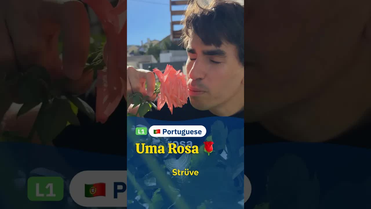 Uma Rosa: Cheiro, Cor e Espinhos