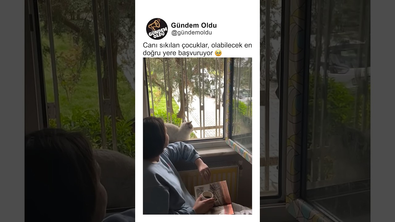 Canı Sıkılan Çocuklar İçin Maket Yapımı