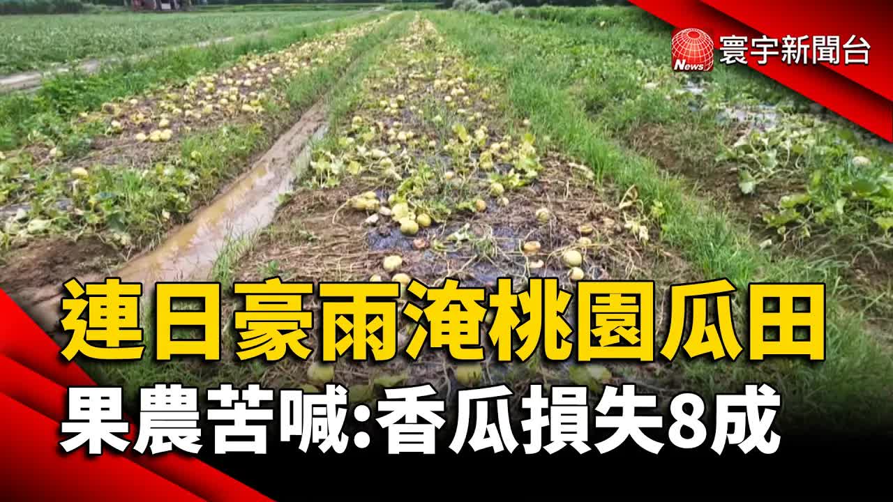桃園豪雨重創西瓜香瓜農損慘重