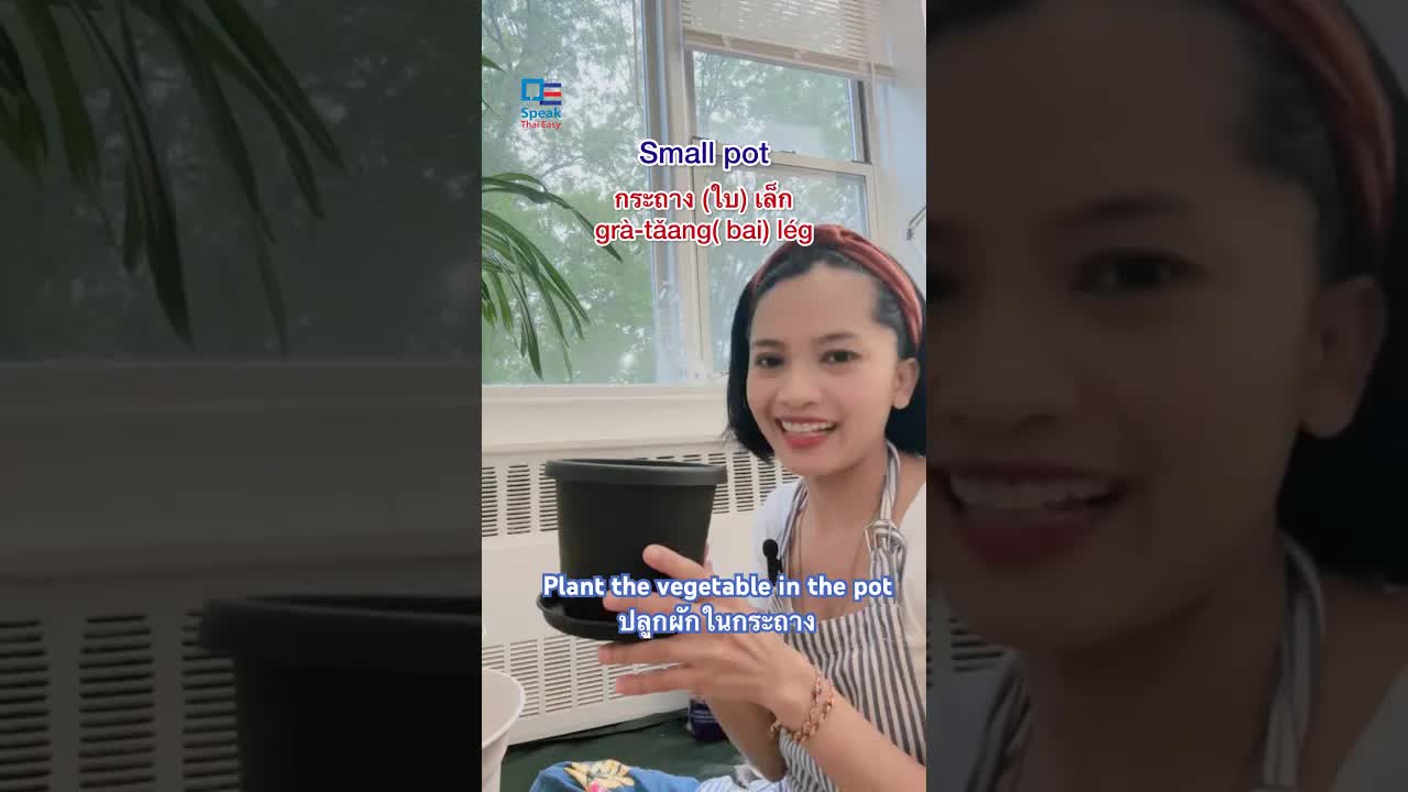 ปลูกต้นมะเขือเทศง่าย ๆ ในกระถาง
