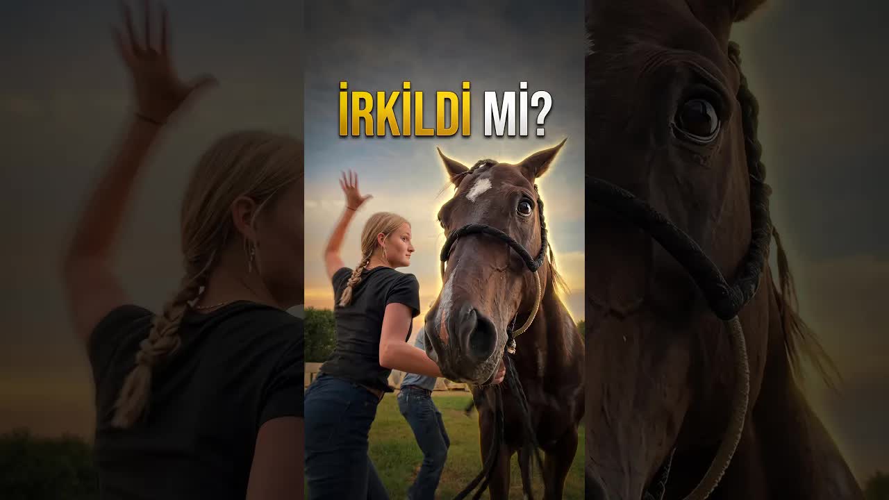 Atına Travma Testi Yaptı