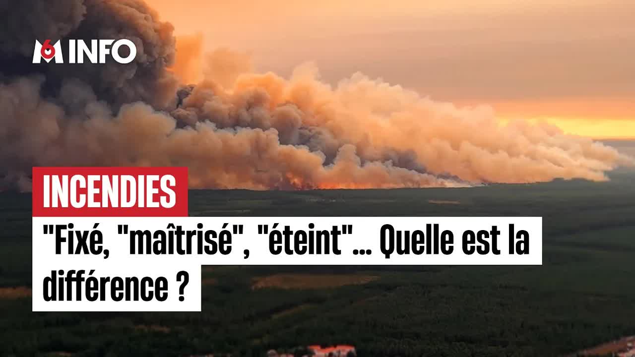 Feux de forêt : les termes officiels expliqués