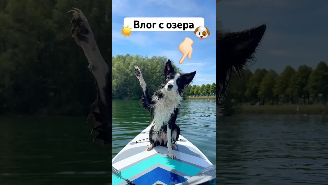 Открытие сезона купания с собакой на озере