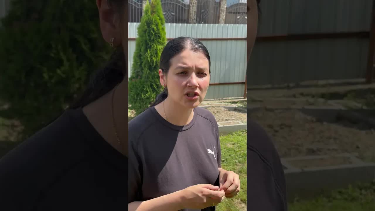 Să mergem la nuntă cu câinele?