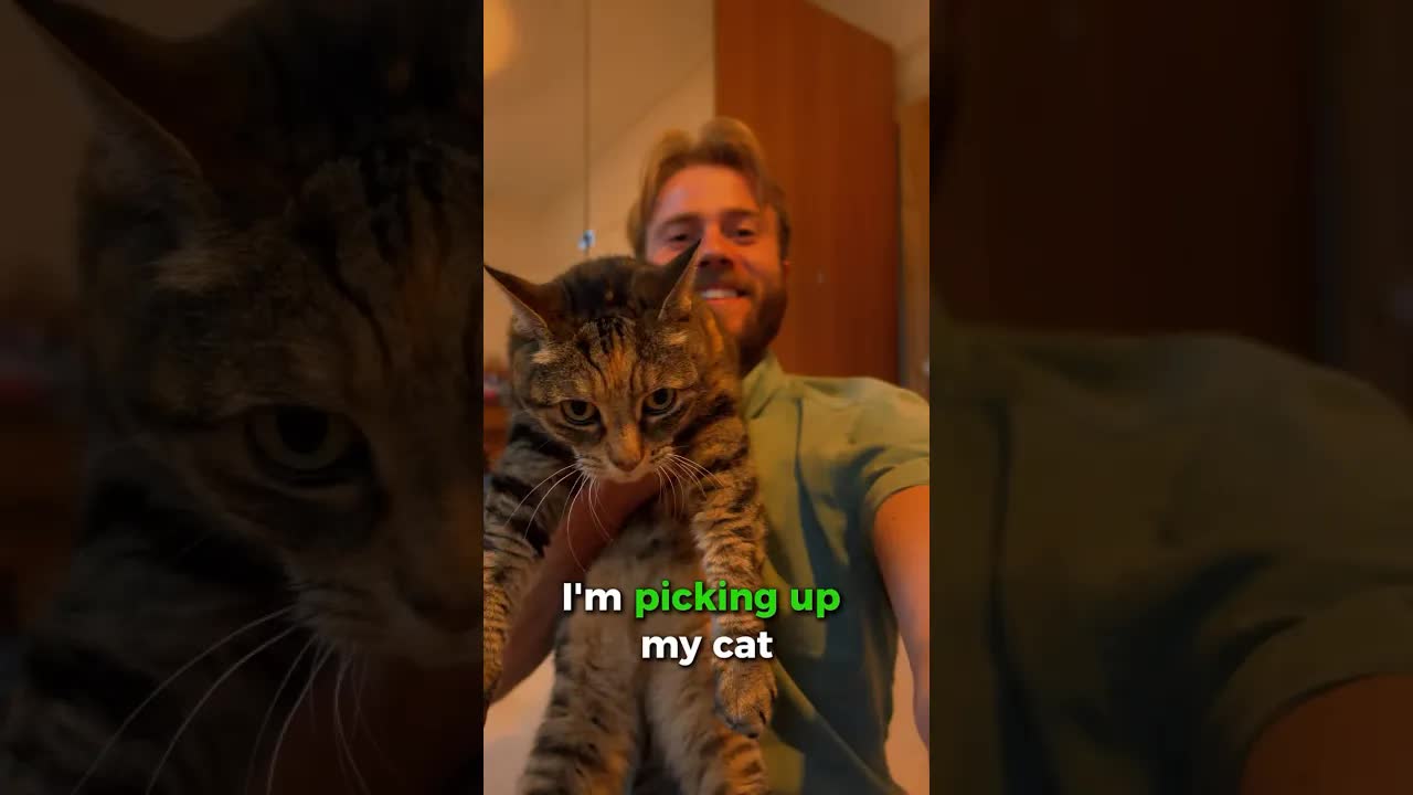Playing With My Cat And Dog