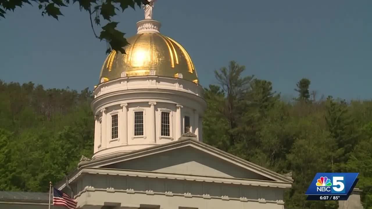 New Vermont Animal Cruelty Law Explained