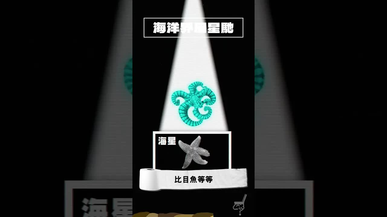 海洋界周星馳：擬態章魚的演技