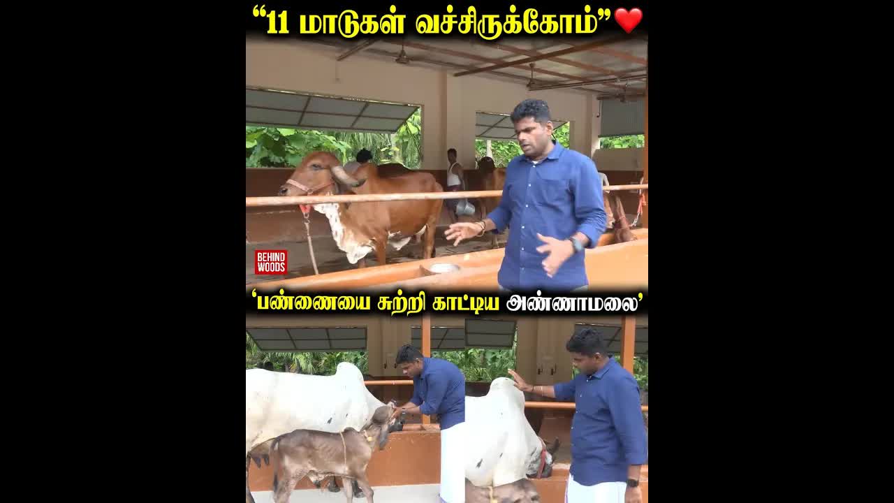 அண்ணாமலையின் இயற்கை மாட்டு பண்ணை சுற்றுலா