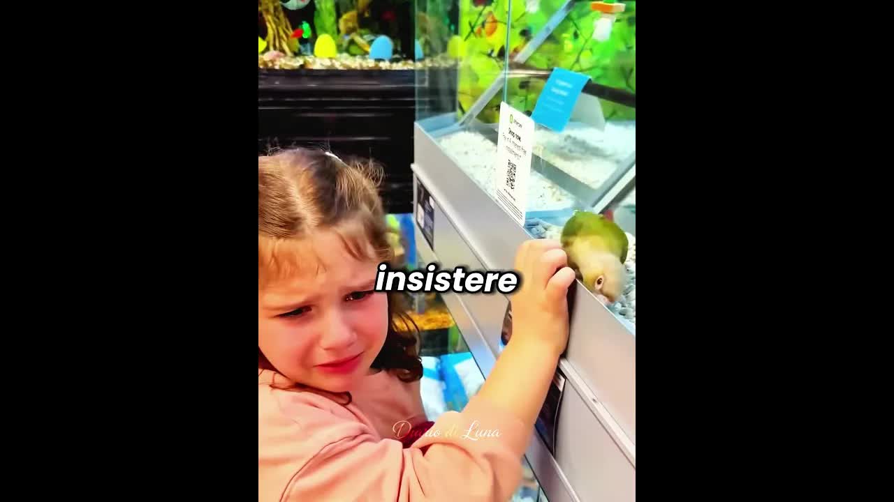 Ritrova il suo uccellino dopo due mesi