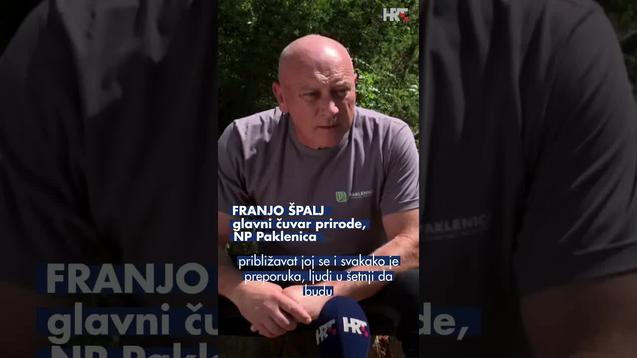Smeđi medvjedi i sigurnost posjetitelja u Paklenici