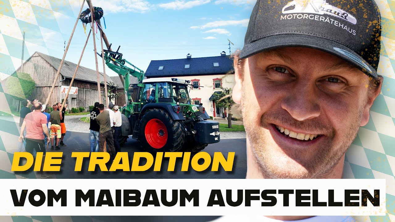 Maibaum Aufstellen: Bayerische Tradition Mit Freunden