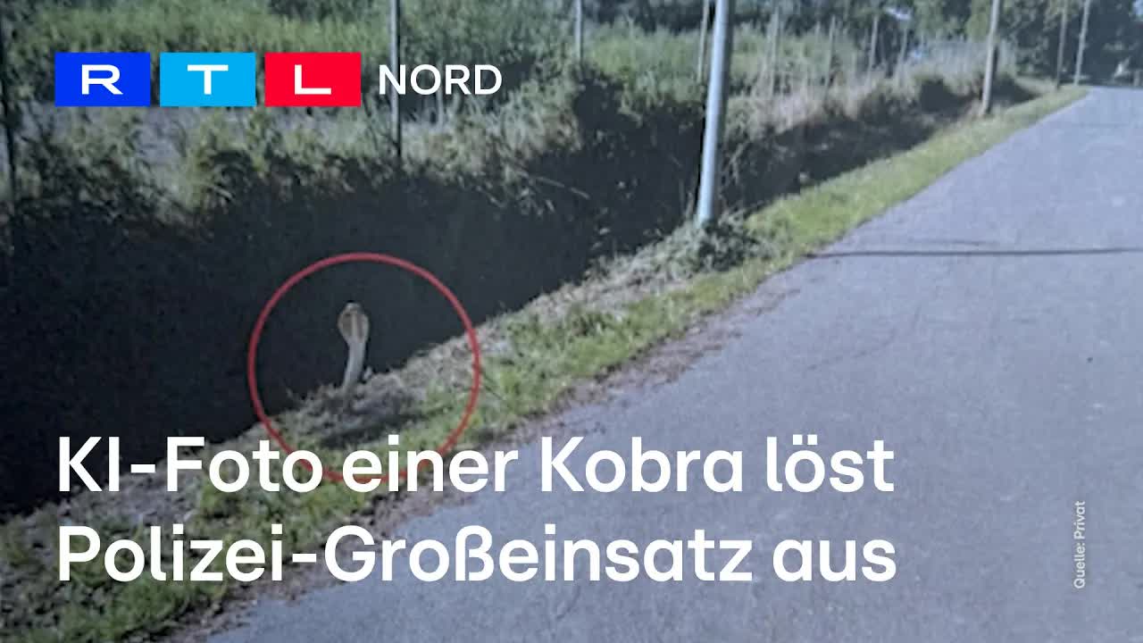 KI-Foto von Kobra löst Großeinsatz in Halstenbek aus