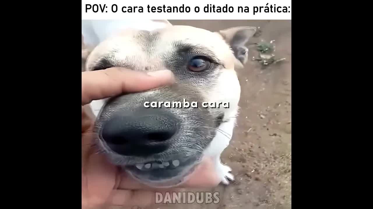 Cão que ladra não morde na prática