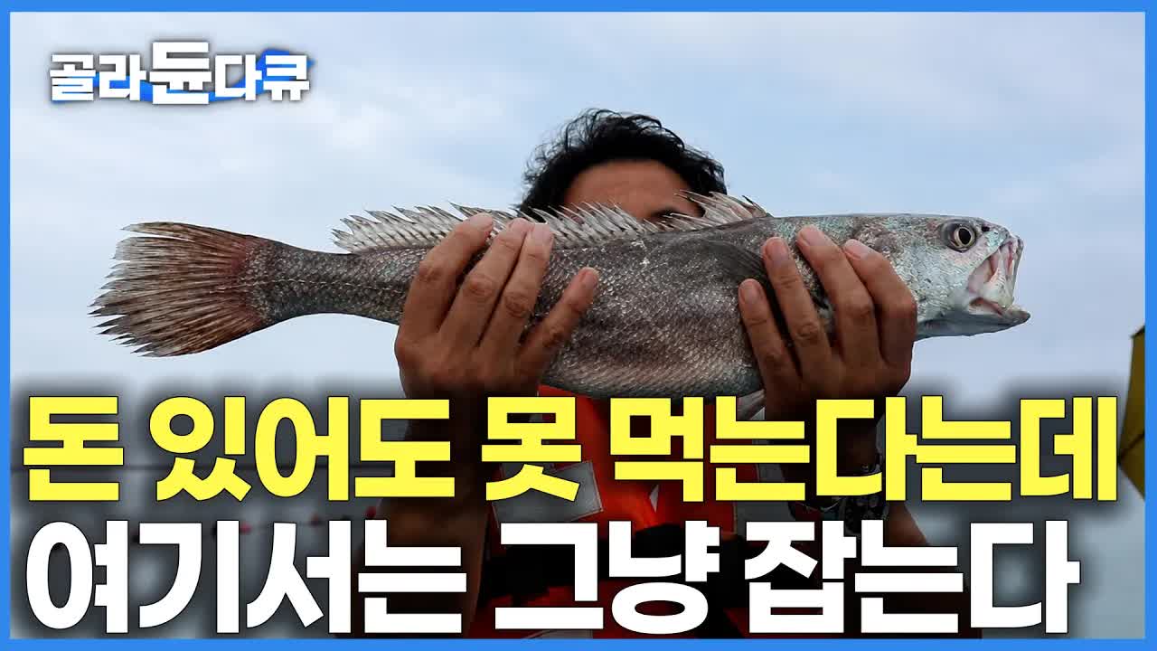 해남 땅끝마을 촌장과 민어 낚시 이야기