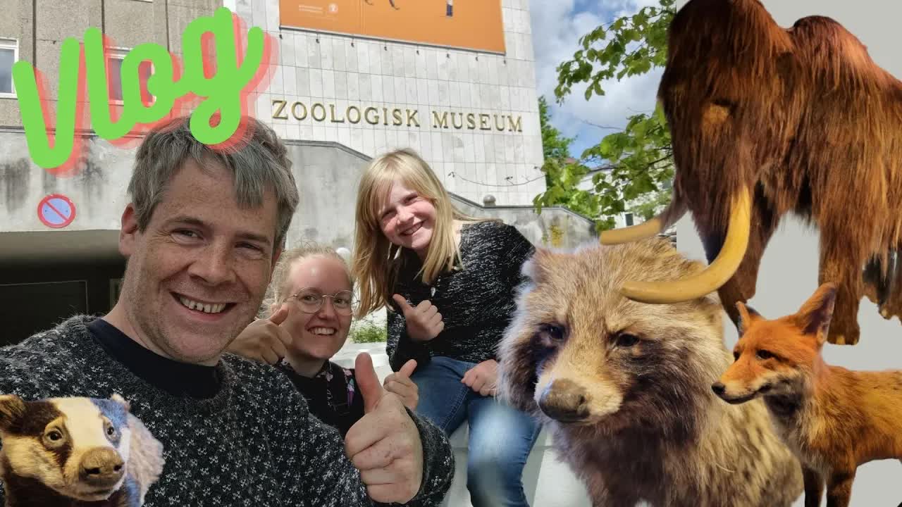 Besøg Zoologisk Museum i København med dinosaurer og pingviner