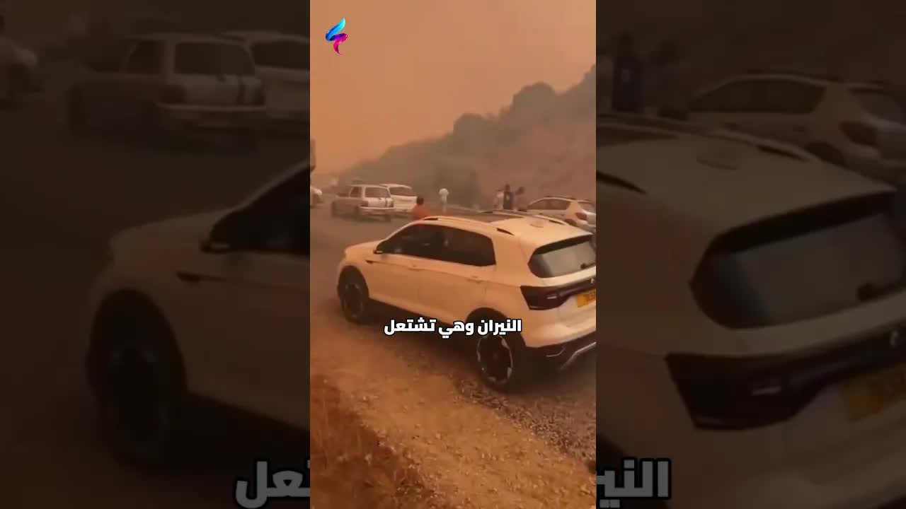 حرائق الغابات في الجزائر: مشاهد مروعة وتح mobilization للحماية المدنية