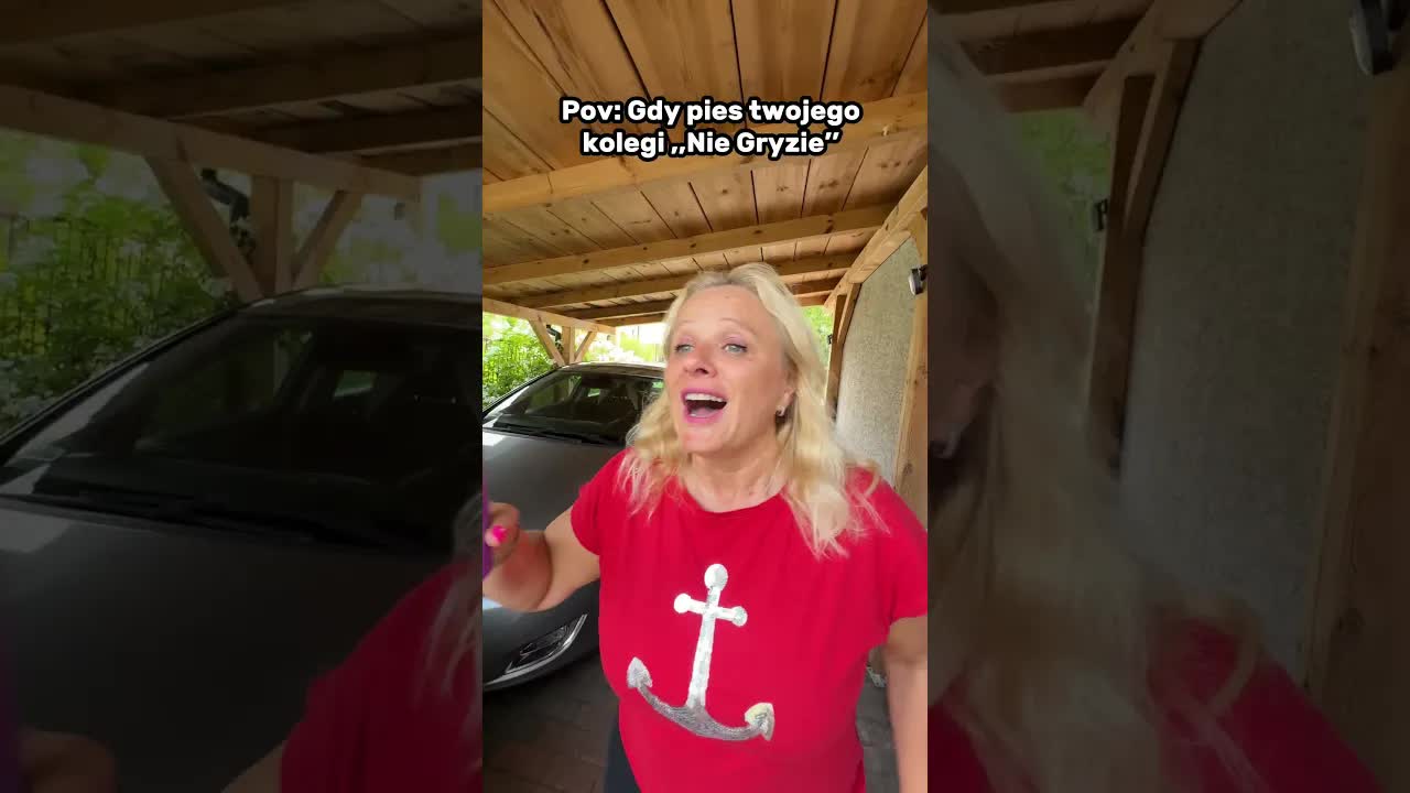 Pies kolegi nie gryzie
