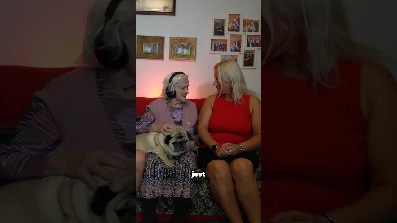 Głuchy Telefon: Mops jest najładniejszym psem