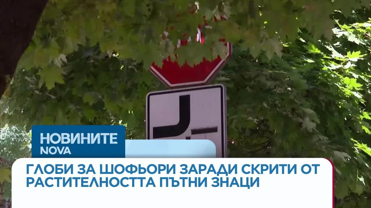 Скрити пътни знаци и несправедливи глоби в София