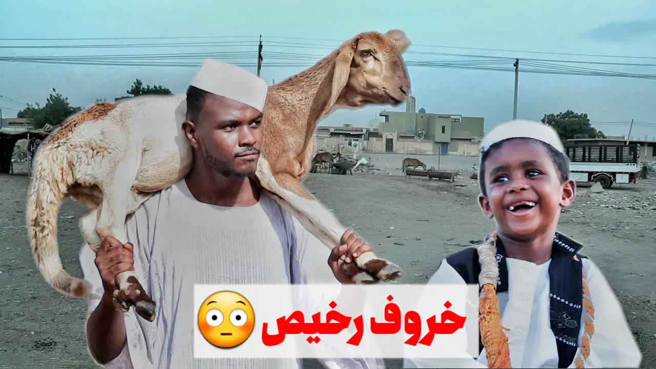 شراء خروف العيد بسعر رخيص